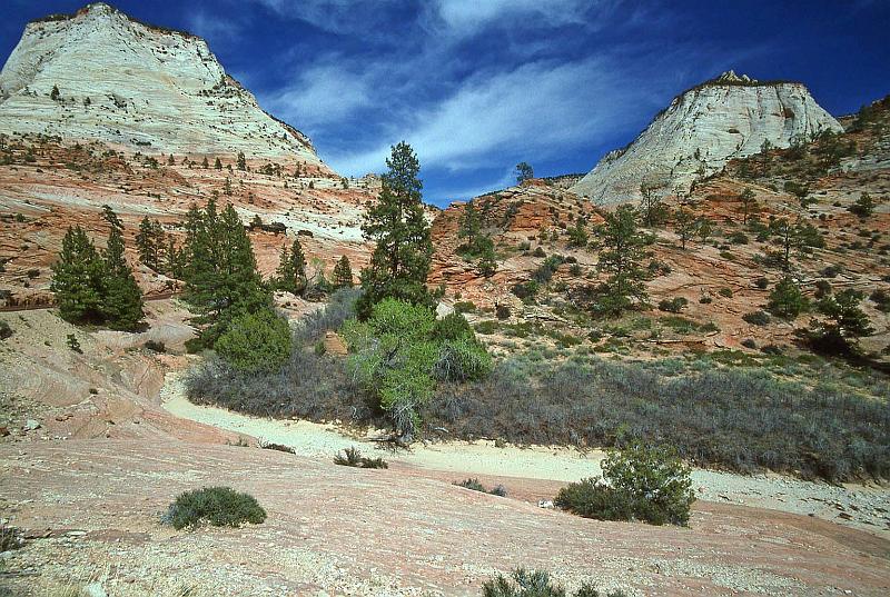1996-04 Utah Trip 205 Zion East Side.jpg